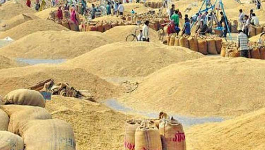 फाइल फोटो 