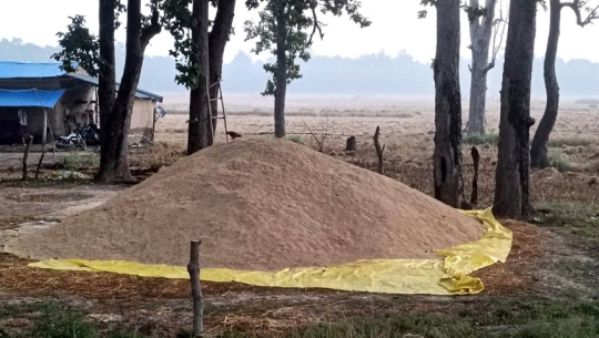 Photo: Avinash Chaudhary