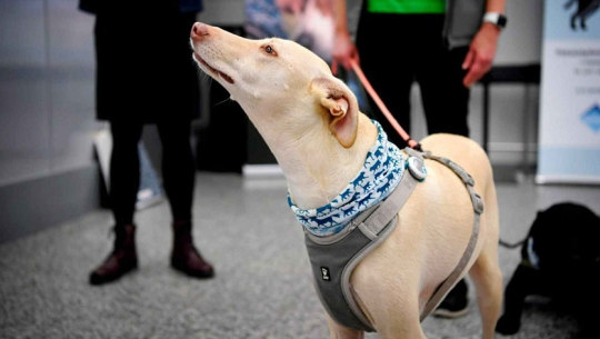 फाईल तस्बिर  