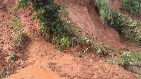 फाइल फोटो 