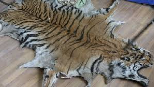 फाइल फोटो