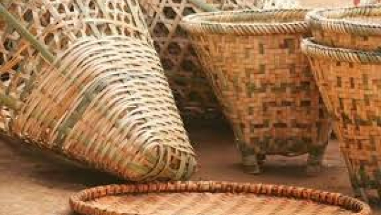बन्दाबन्दीमा चोयाका सामग्रीबाट ६० हजार आम्दानी