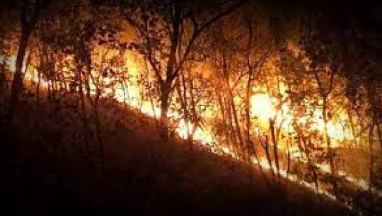 सुदूरका वनमा लागेको डढेलोमा अब तराईको खेतमा जलाएको गहुँको नलको धुवाँ थपियो