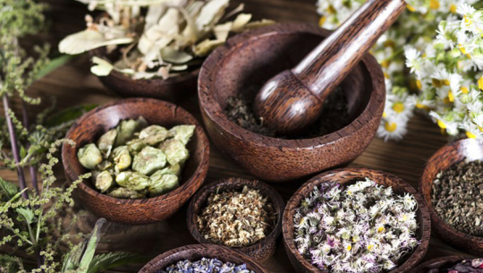 जडीबुटी खेती गर्ने किसान निराश