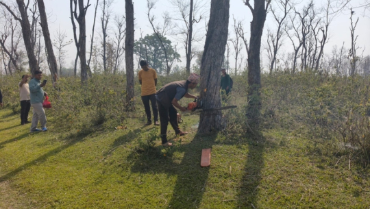 कञ्चनपुरमा सुख्खा बन्दरगाह निमार्ण गर्न रुख कटान सुरु