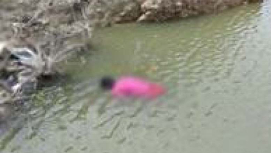 फाइल फोटो