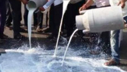 लकडाउनका कारण दूध पोख्दै किसान