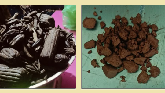 धनगढीका एक युवक चरेश र लागूऔषधसहित पक्राउ