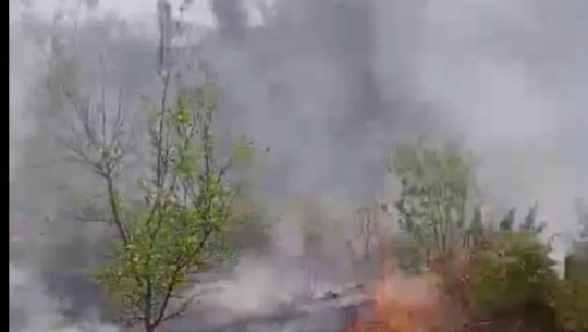 डोटीमा आगलागीबाट ६६ रोपनी जग्गाको कागती नष्ट