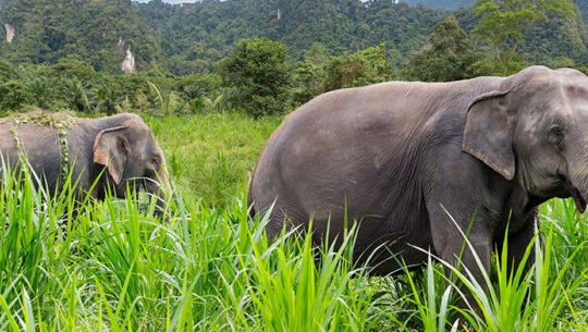 फाइल फोटो