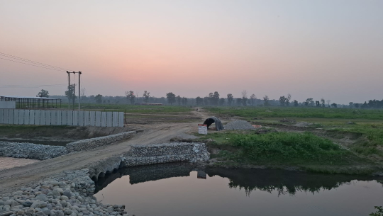 तस्बिर : नारायण अवस्थी