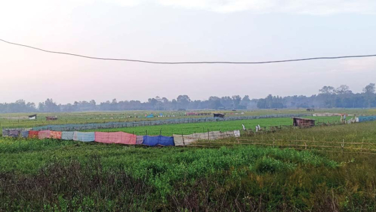 तस्बिर: अविनाश चौधरी