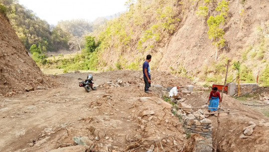 धनगढी–दीपायल फास्ट ट्रयाकः आदेश विना रुख काटेको भन्दै वनद्वारा १० लाख क्षतीपुर्ती माग