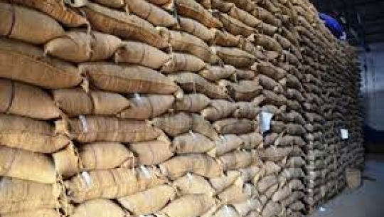 फाईल फोटो 