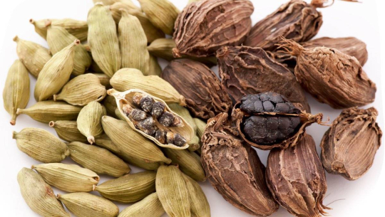 अलैँची उत्पादनमा वृद्धिः किसानले पाएनन् उचित मूल्य