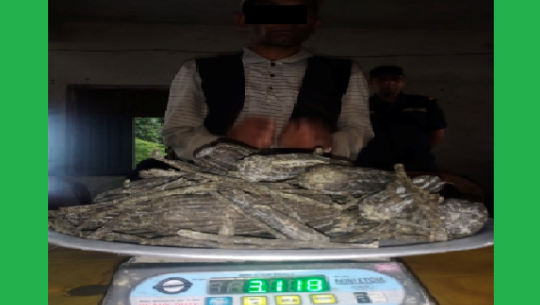 कञ्चनपुरमा ३ किलो चरेससहित एक जना पक्राउ