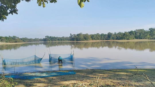 अतिक्रमित कैलालीको पुरैना ताललाई एसियाकै ठुलो ताल बनाइने