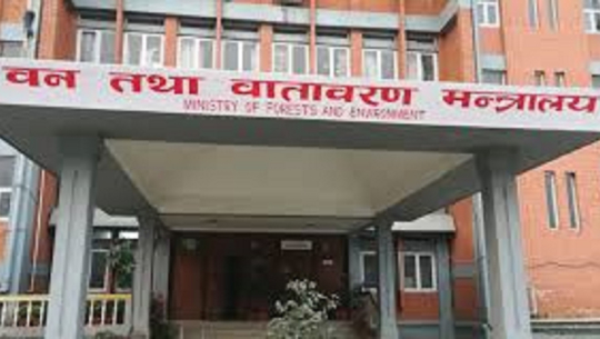 झिग्राना–बीचपानी–बुगीदह सडकखण्ड ईआईएका लागि सहमति