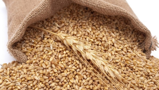 सुदूरपश्चिममा गहुँको मुल्य निर्धारण