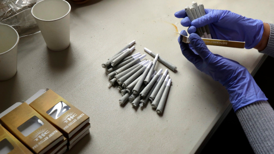 अनौठो अफर :  कोरोनाको खोप लगाउनेलाई एक खिल्ली गाँजा निःशुल्क