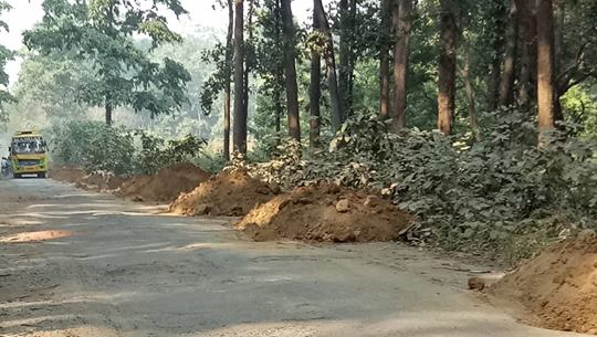 पलिया–गौरीफन्टा सडक खण्ड निर्माणको काम सुरु भएसँगै आवतजावतमा सहजता हुने अपेक्षा