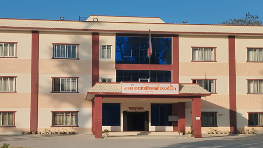 प्रमुख प्रशासकीय अधिकृत कुटपिट गर्ने नगर प्रमुखका स्वकीयविरुद्ध जाहेरी