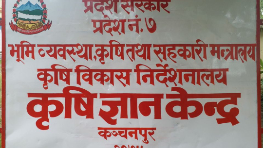 कञ्चनपुरका आठ वडामा तरकारी नमुना गाउँ