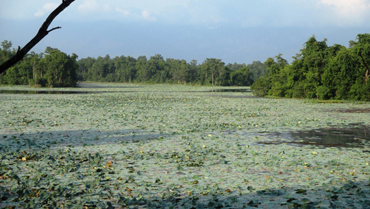 कैलाली कञ्चनपुरलाई सर्किटको रुपमा विकास गरेर पर्यटक भित्र्याउन सकिने