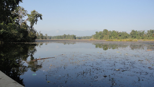 आज विश्व ताल दिवस