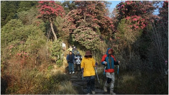 पर्यटकको रोजाइमा घोडेपानी, एक वर्षमा ३१ हजारले गरे भ्रमण