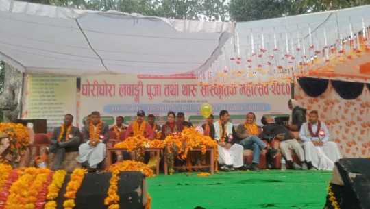 घोडाघोडीमा थारु सांस्कृतिक महोत्सव सुरु