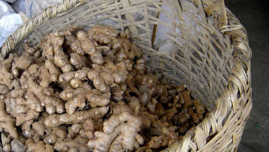 अदुवाको मुल्य दोब्बरले बढ्यो