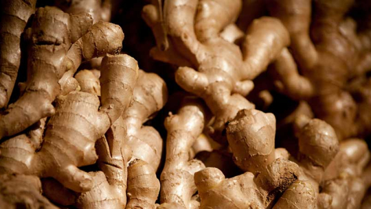 डोटीका किसानको अदुवा बारीमै थन्कियो