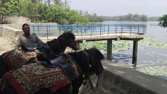 फोटो : चाँदनी आचार्य