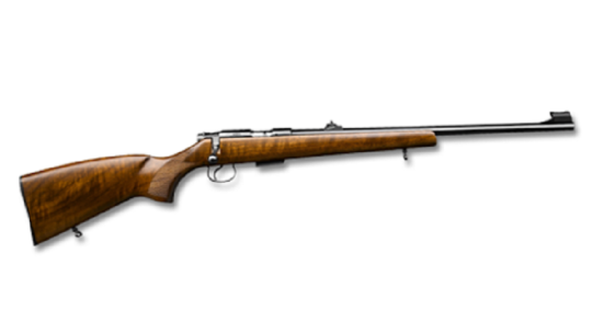 फाइल फोटो 