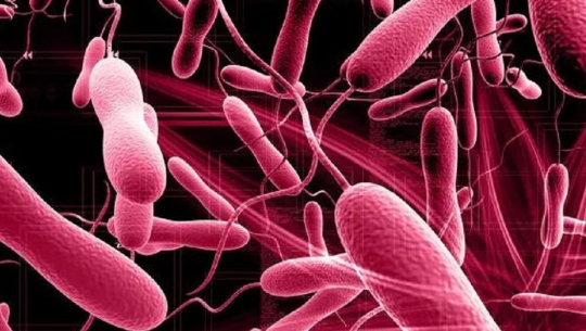 बैतडीमा हैजाको जोखिम: खानेपानीको नमूना सङ्कलन