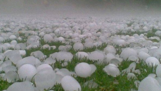 असिनाले करोडौँको बालीमा नोक्सान