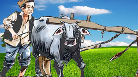 Rehabilitation of freed haliyas stalled in Kanchanpur