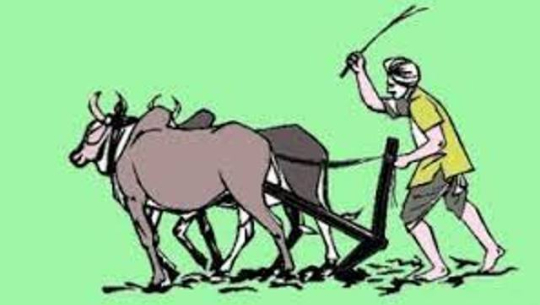 सांकेतिक तस्बिर