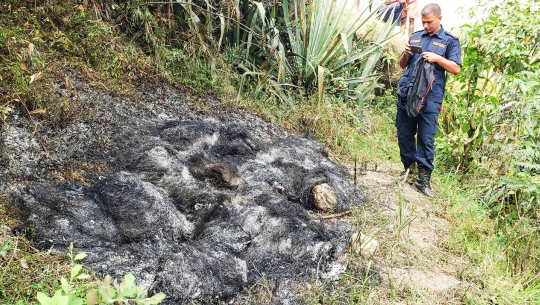 दार्चुलामा एकल महिलाको हत्याः छोरीको पनि हत्या प्रयास, भागेर ज्यान बचाइन् 