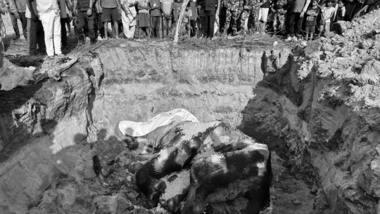 कञ्चनपुरमा मृत भेटिएको हात्तीको अन्तिम संस्कार गरियो