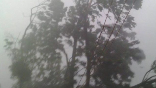Rain and snowfall expected in hilly and mountainous areas; gale warning issued for terai