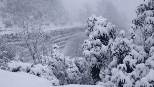 आज यी चार प्रदेशमा वर्षासहित हिमपातको सम्भावना