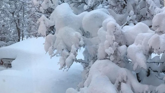 दार्चुलामा हिमपहिरोः यार्सा टिप्न गएका आधा दर्जन व्यक्ति फसेको आशंका