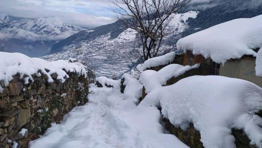 बाजुरामा बाक्लो हिमपात, किसान खुसी