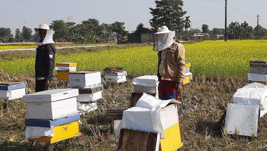 महबाटै करोडको कारोबार गर्छन् विनोद हमाल