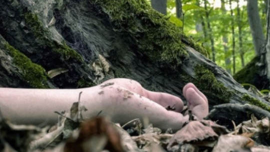 सांकेतिक तस्विर