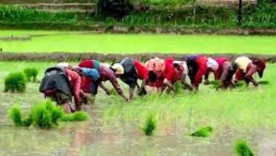 फाइल फोटो 