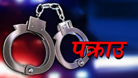 कैलालीमा जनावर मार्न तार बिछ्याएको आरोपमा चार जना पक्राउ