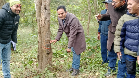 ब्रह्मदेव करिडोरमा स्वचालित क्यामेरा जडान गरेर बाघ गणना सुरु